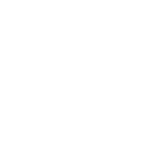 logo white 1 1 212