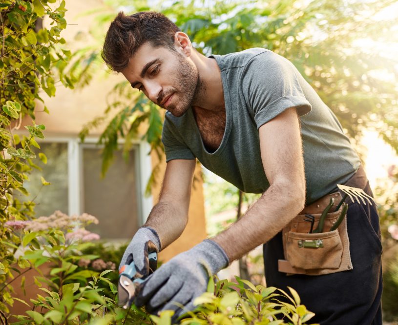 garden maintenance