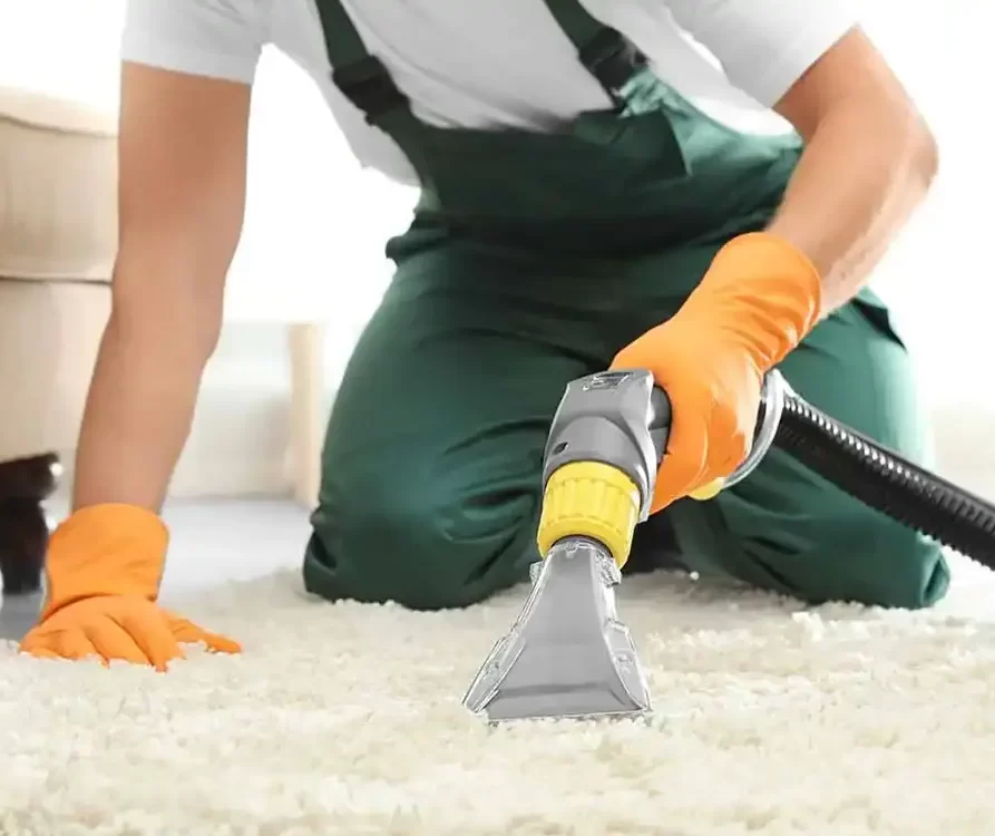 carpet cleaning